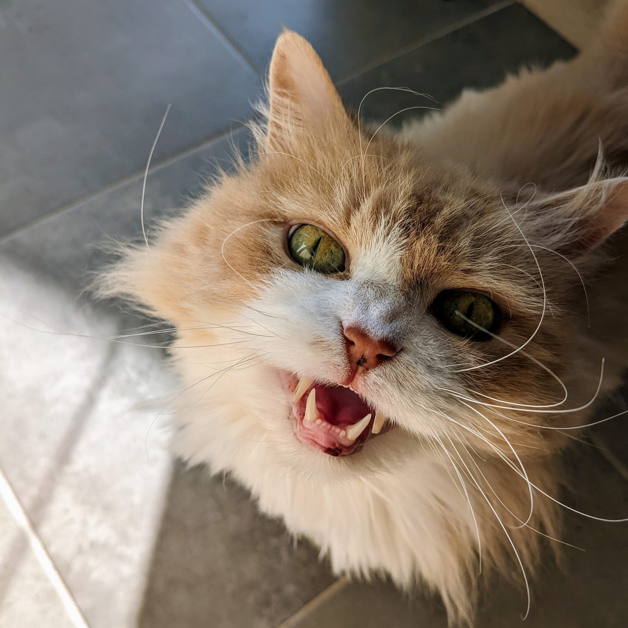 Caramel