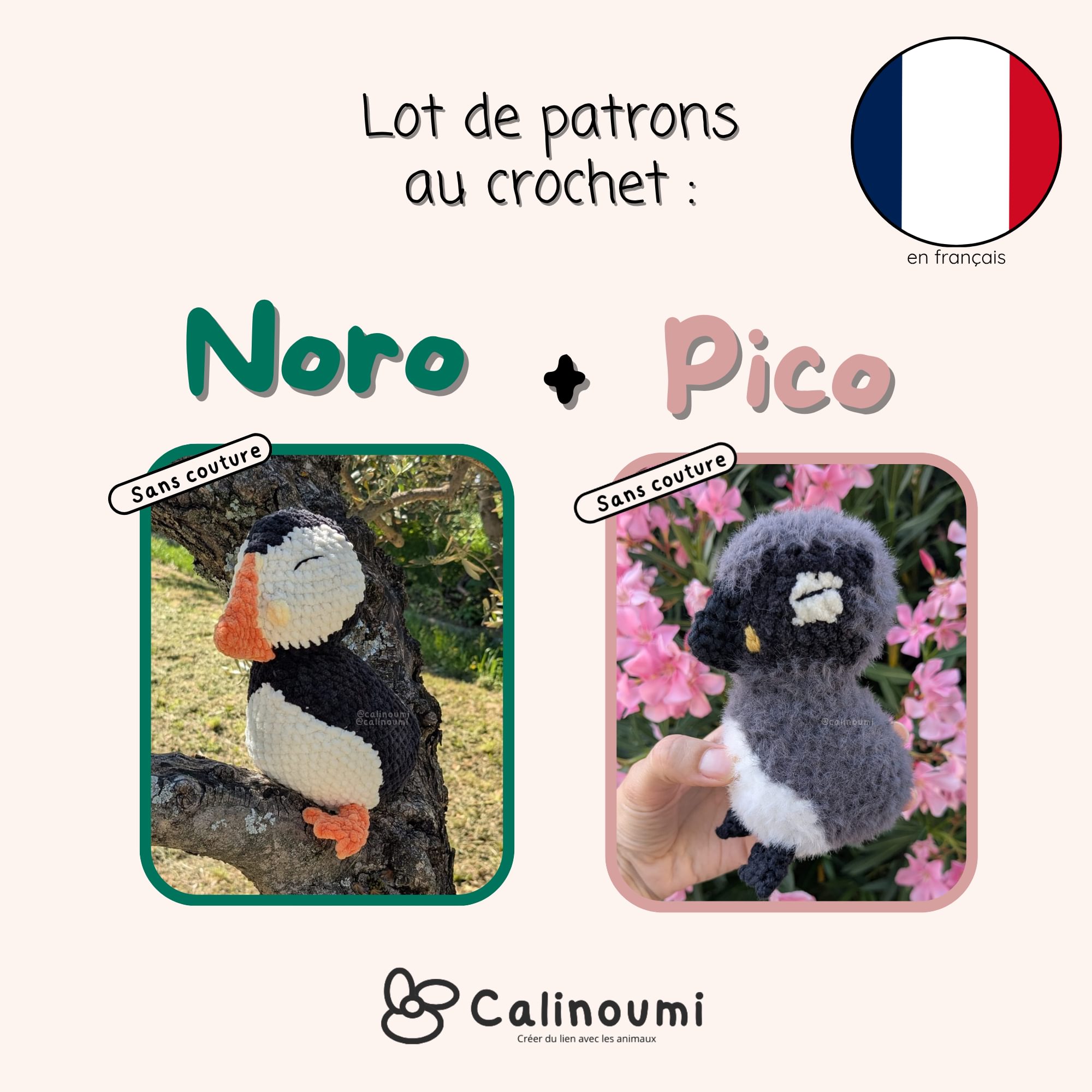 Noro & Pico les macareux