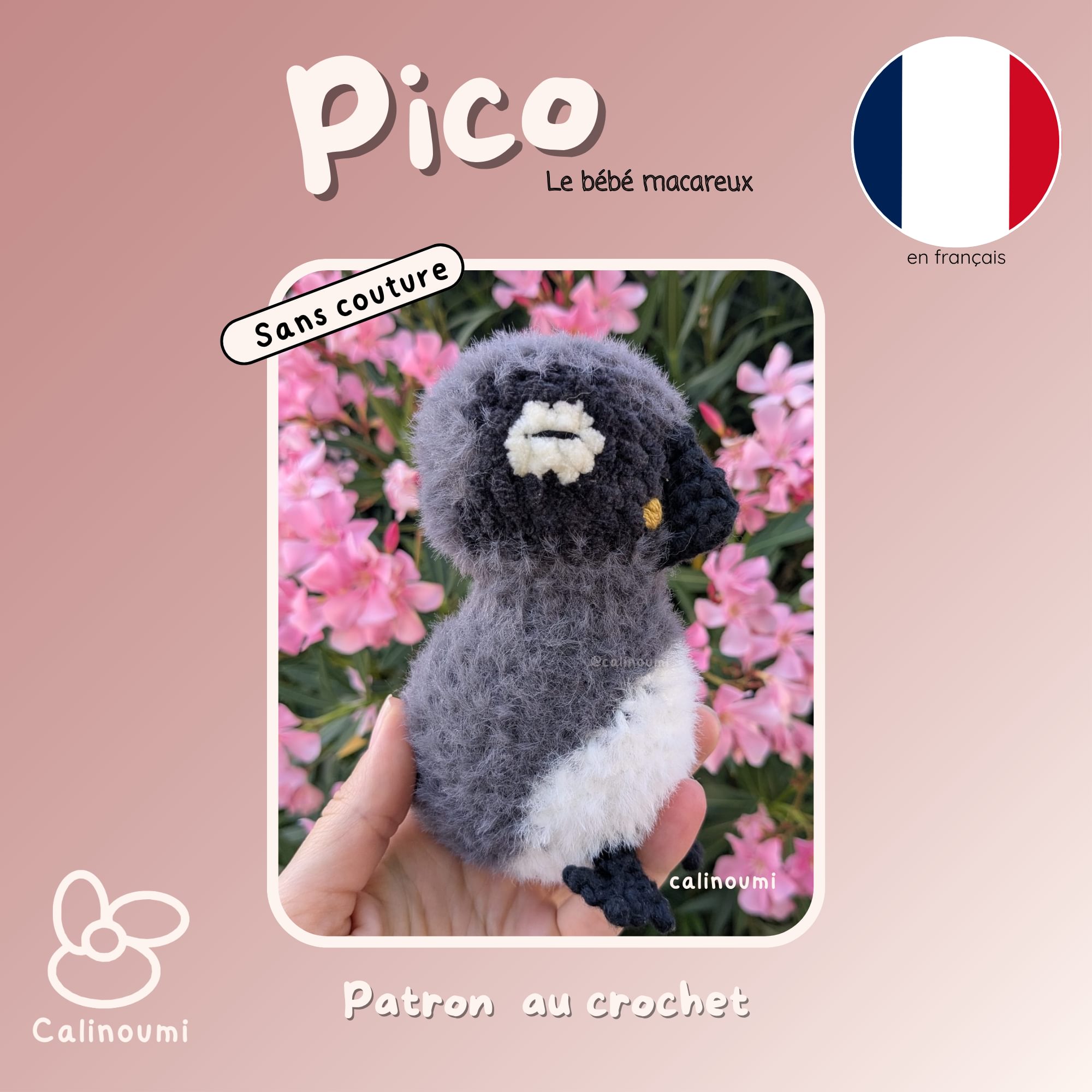 Pico le bébé macareux