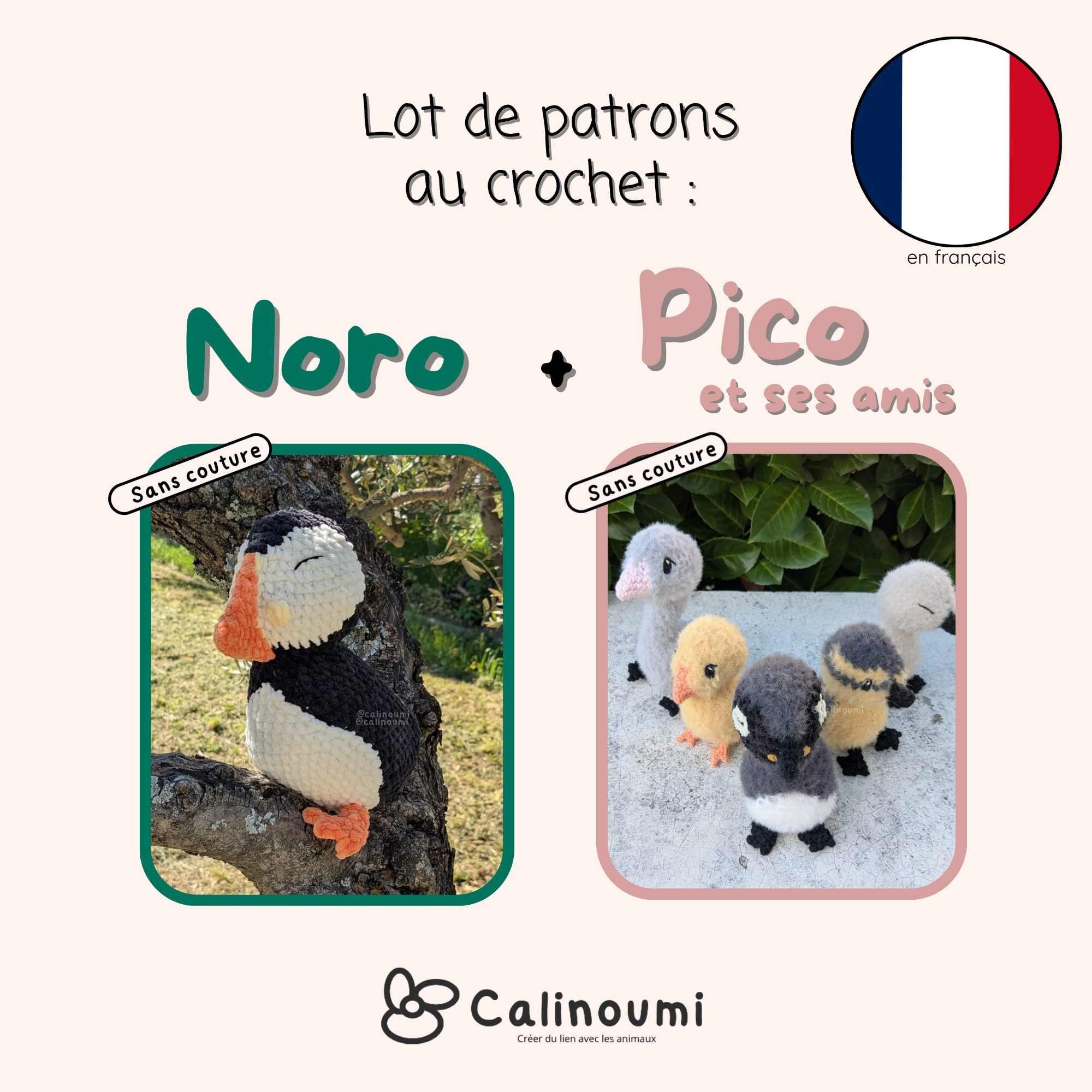 Noro & Pico et ses amis