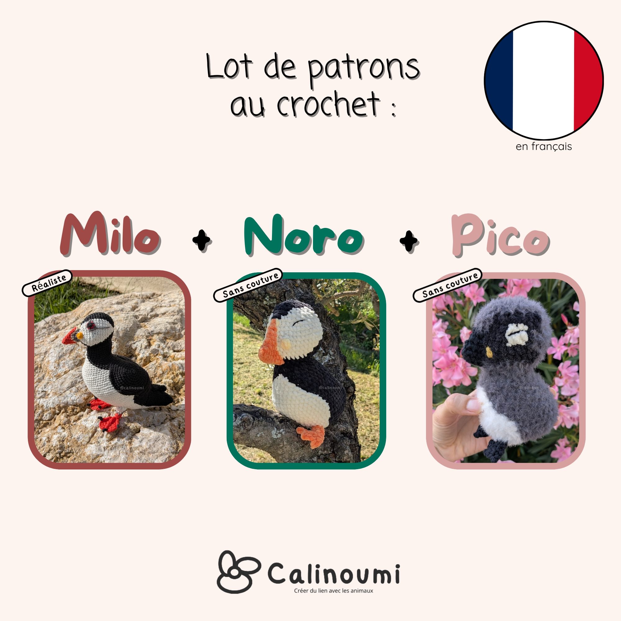 Milo, Noro & Pico les macareux